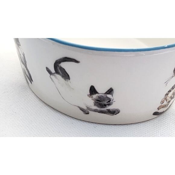 CAT BOWL-TAG-Food-Water-"Eat Sleep Play Repeat"-Multiple Cat Images-White - Picture 5 of 12